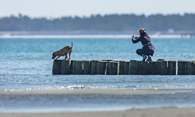 Urlaub mit Hund